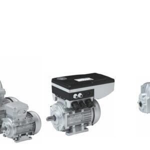 Three-phase AC motors